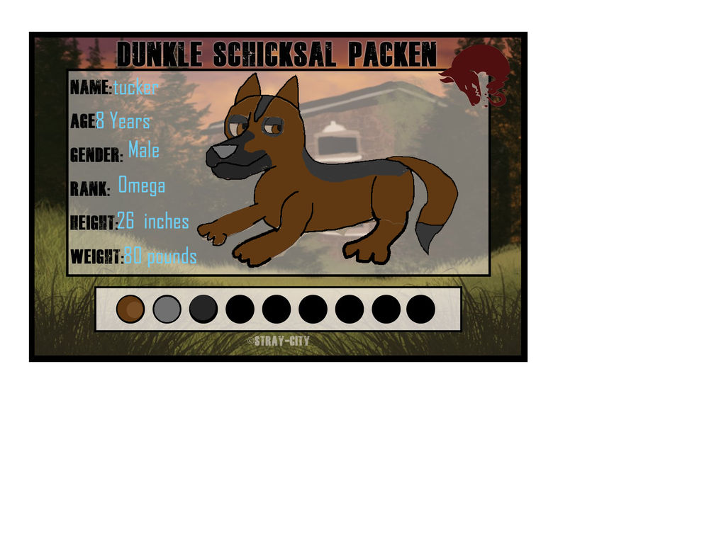 Tucker (Dunkle App for SC)
