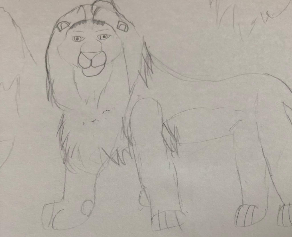 Lion doodle