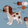 Ruckus the spaniel mix