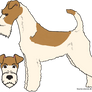 Dewi