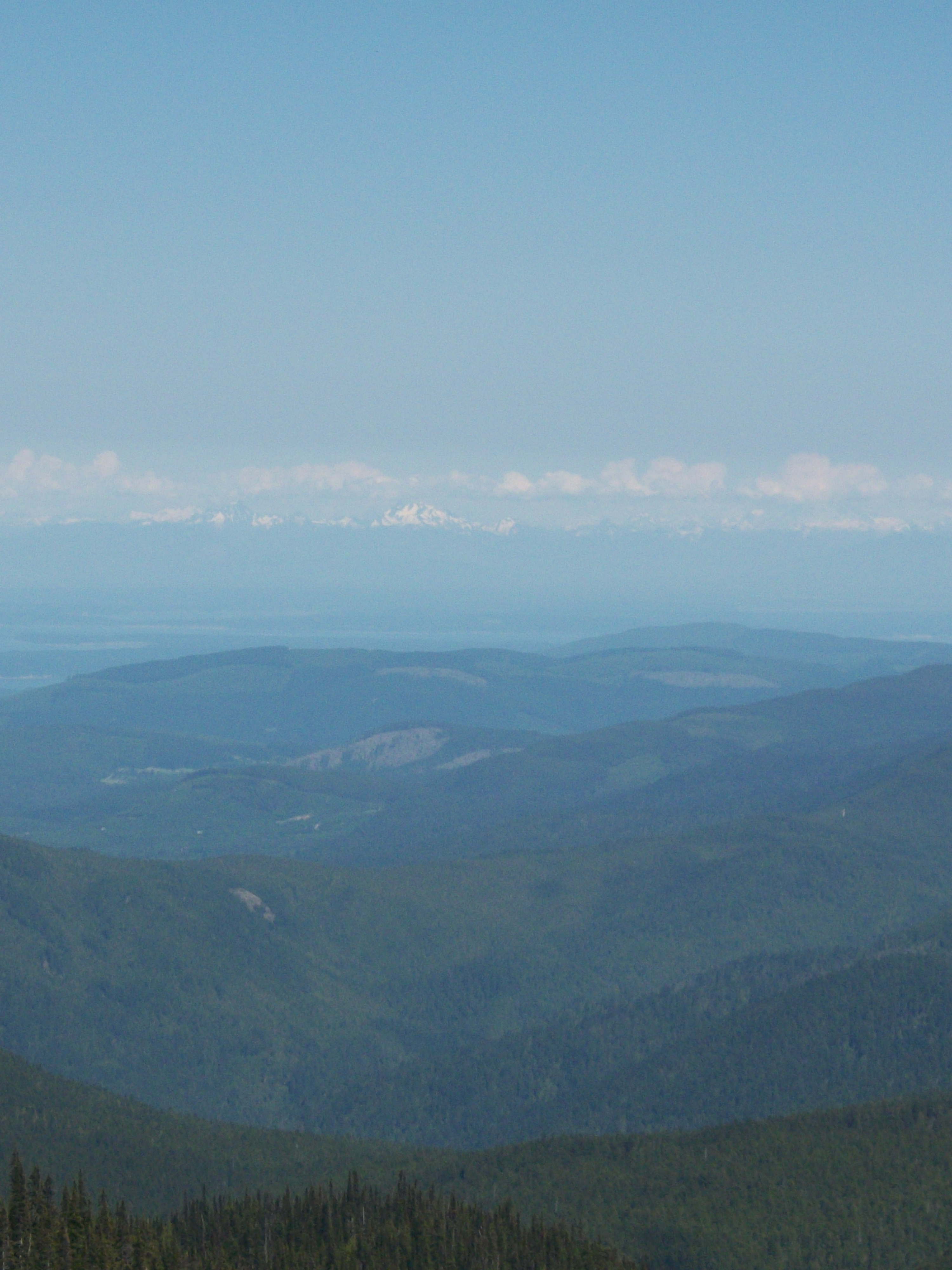 Mt.Baker from Hurricane Ridge