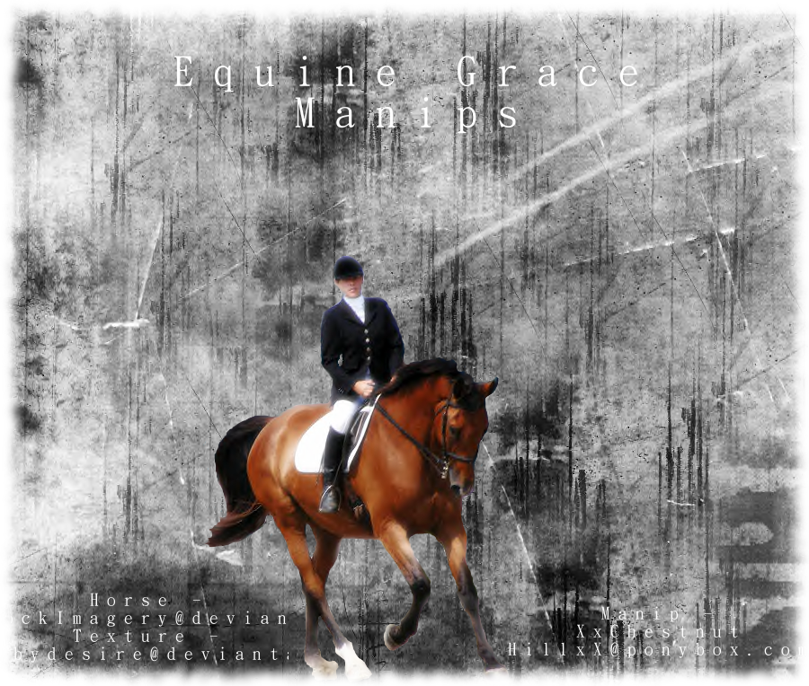 Equine Grace Manips Contest