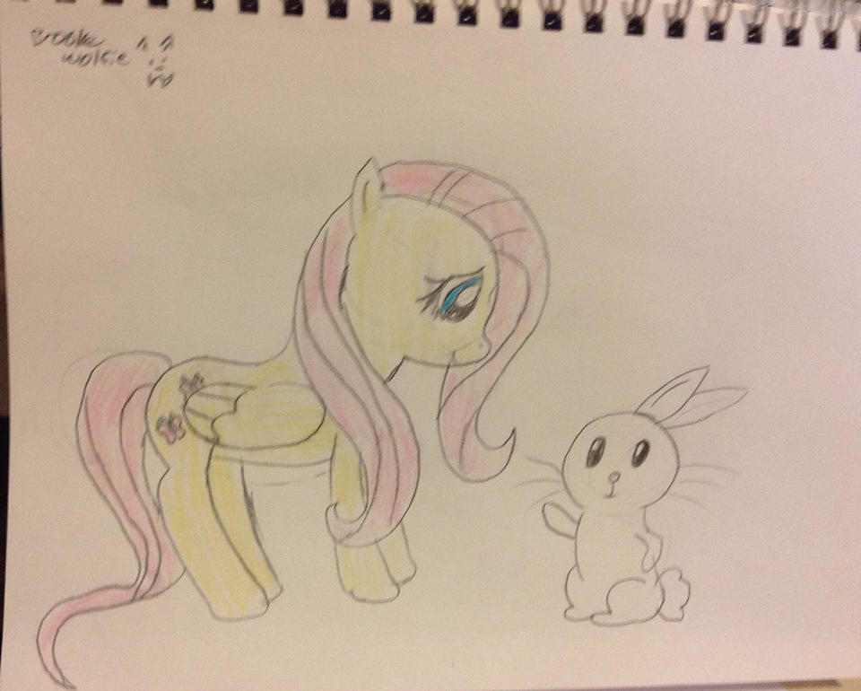 Fluttershy and bunny by Ravenwolf353 on DeviantArt