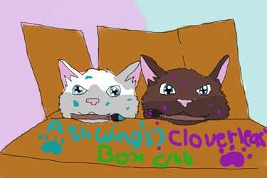AShwing's and Cloverleaf's box club