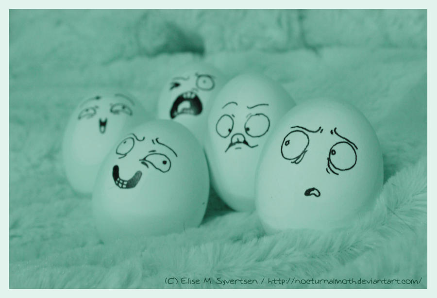 eggs - Derp Derp .. whut?