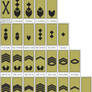 M07 work rank insignia AF