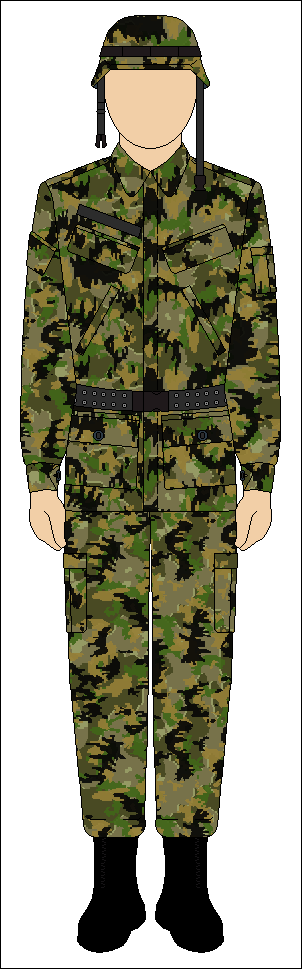 Type 2 Field Uniform