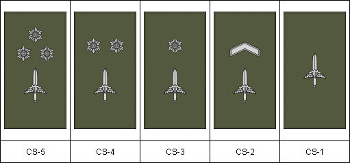 Civil Service work insignia by Tounushi on DeviantArt