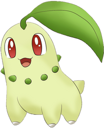 Chikorita