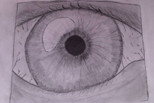 eye