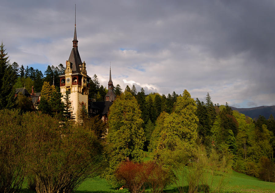 Castle in the forest