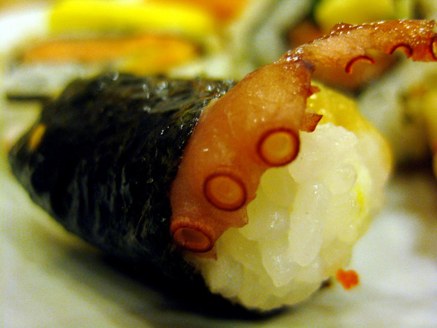 Sushi escapade 1