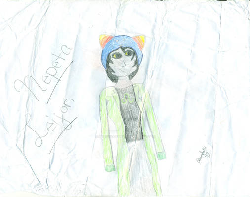 Nepeta