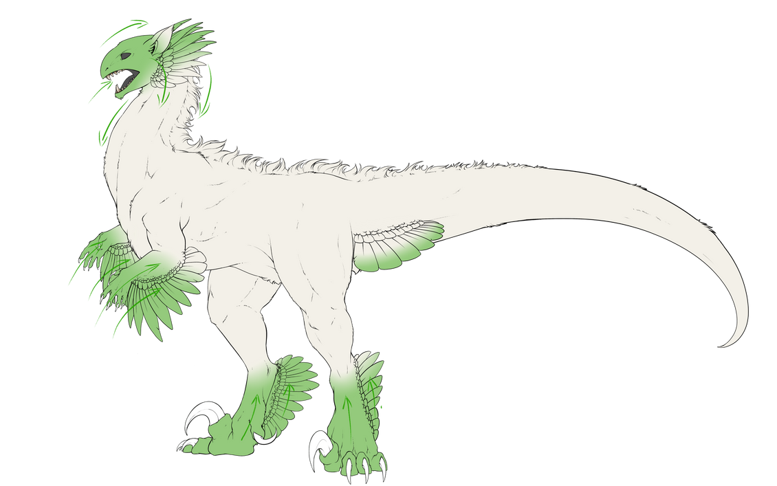 Correct feathers by Kuku-ri Correct feathers by Kuku-ri