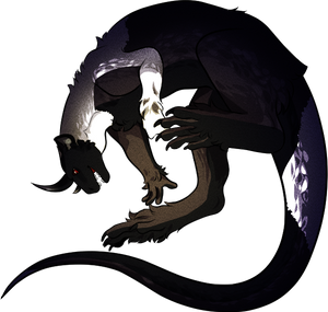 SpeciesInfo byAki by Kuku-ri SpeciesInfo byAki by Kuku-ri