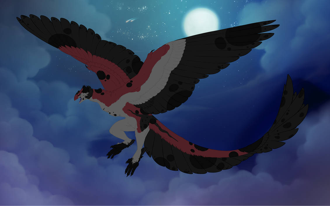 Calicoco Firewalker Calico 8562 by Kuku-ri on DeviantArt