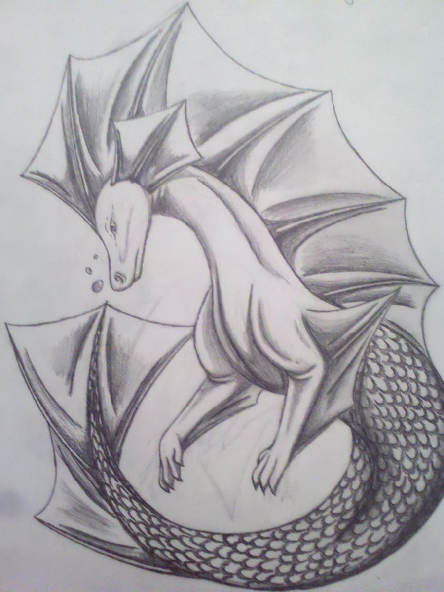 Seahorse Dragon