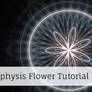 Apophysis Tutorial