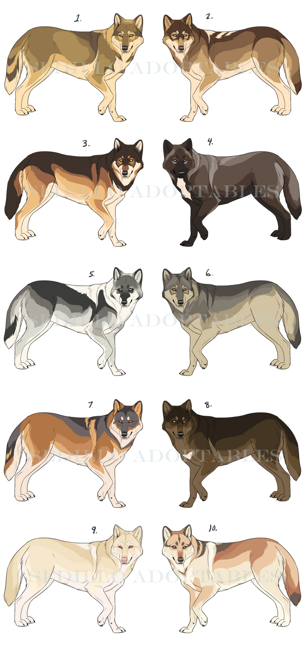 Basic Wolf Natural Wolf Designs- SET 20: CLOSED by Nature-Ridge-Adopts on DeviantArt