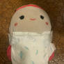 Full Diapered Raisy