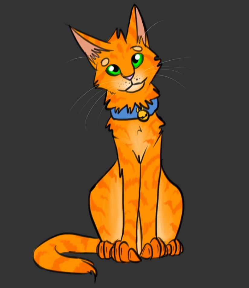 Rusty the kittypet~