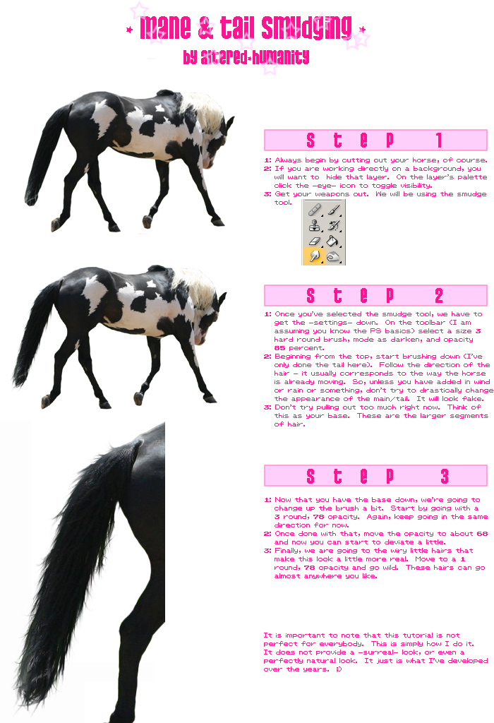 Mane 'n Tail Tutorial 1