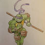 Donatello Colored