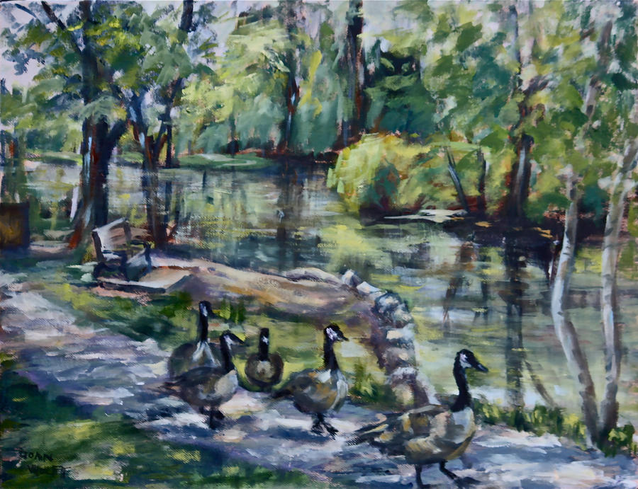 Geese in the Park