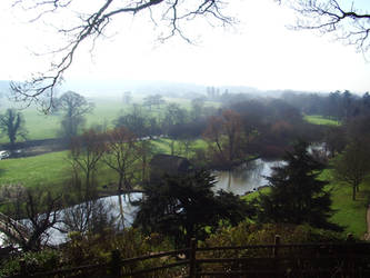 a field a river and some trees