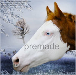 Premade Winterwithcolor by abacustheSIM Premade Winterwithcolor by abacustheSIM