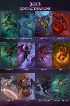 2013 Zodiac Dragons