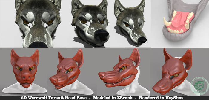 Werewolf 3D Base Head