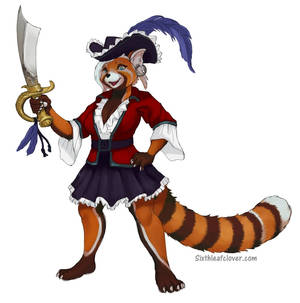 Pirate Red Panda Avery Concept