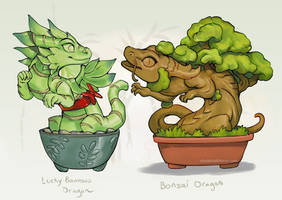 Lucky Bamboo Dragon with Bonsai Dragon