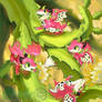 Dragon Fruit Gathering