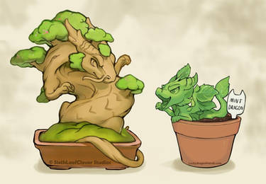 Bonsai Dragon and Minty Dragon