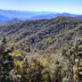 Blue Ridge Mountains #4