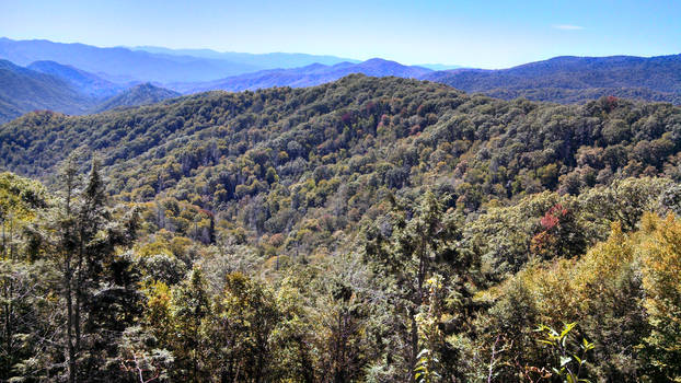 Blue Ridge Mountains #4