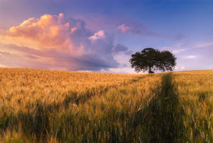 Tuscany by JPawlak