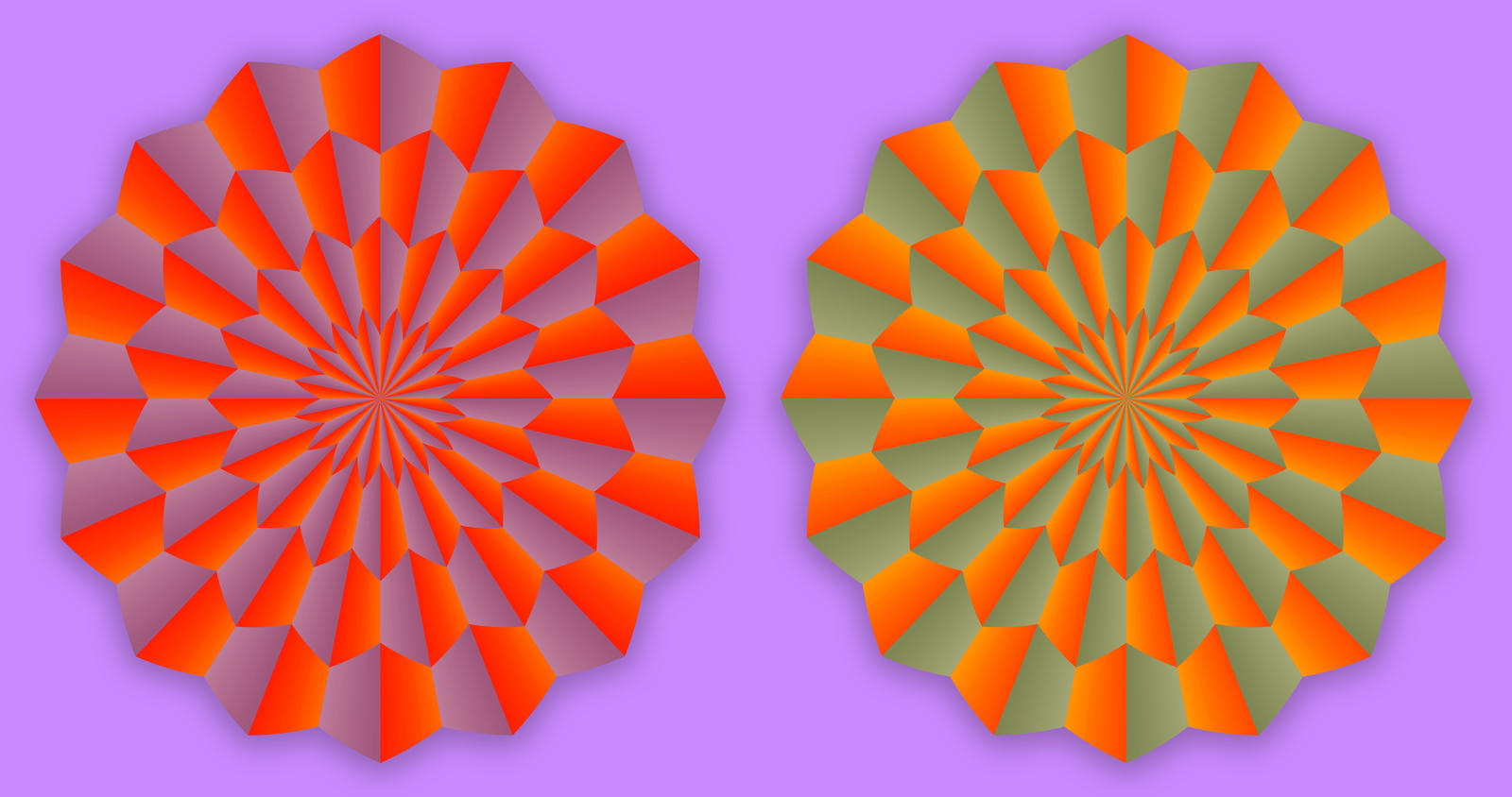 Rotation - Optical Illusion