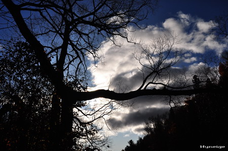 Sky in Autumn