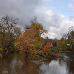 Reflet en Automne I