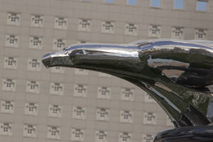 IMG_2962.jpg