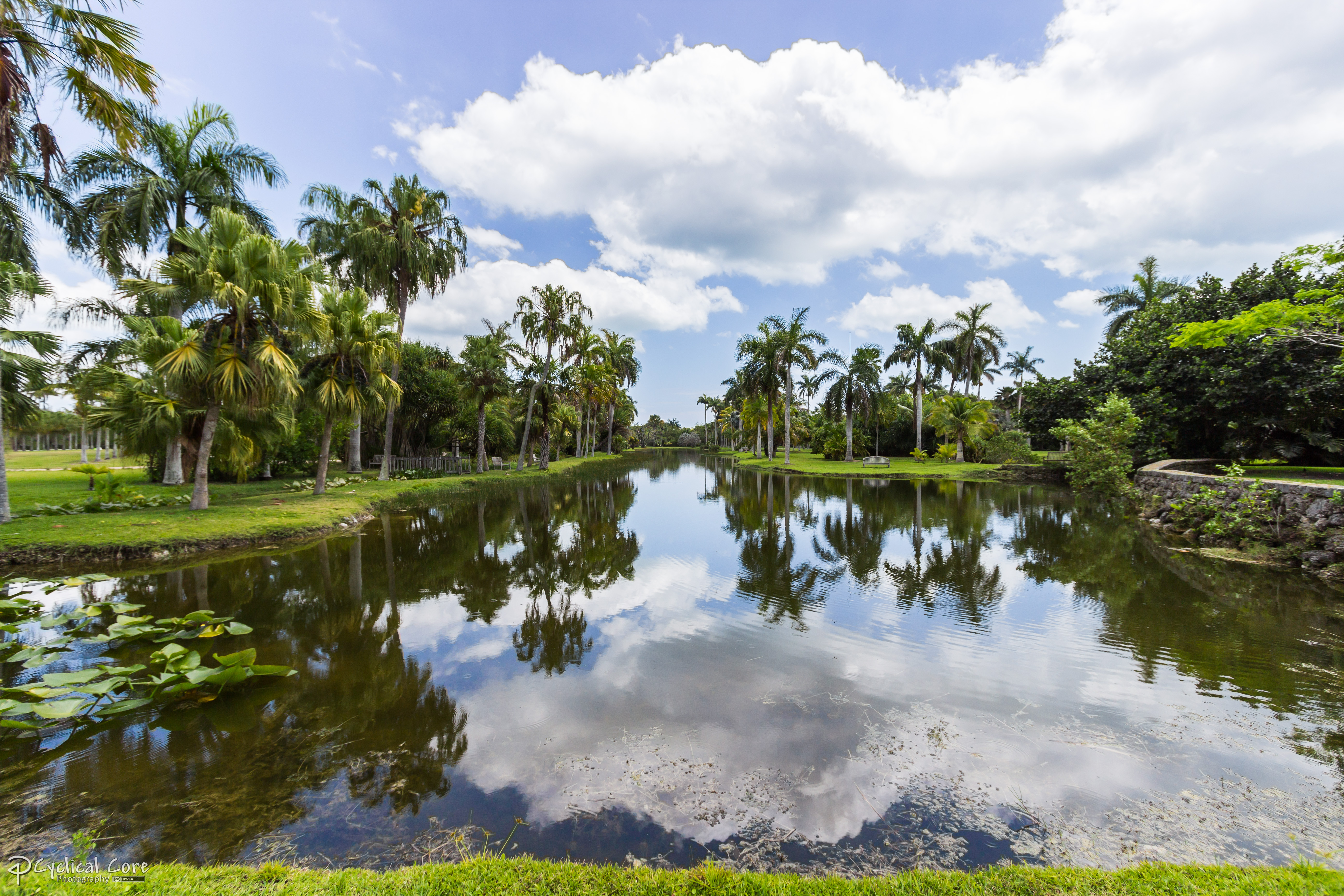 Fairchild Tropical Botanical Garden Landscape 1