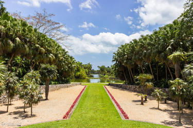 Fairchild Tropical Botanical Garden Landscape 3