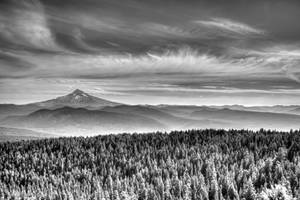 Mt. Hood textures