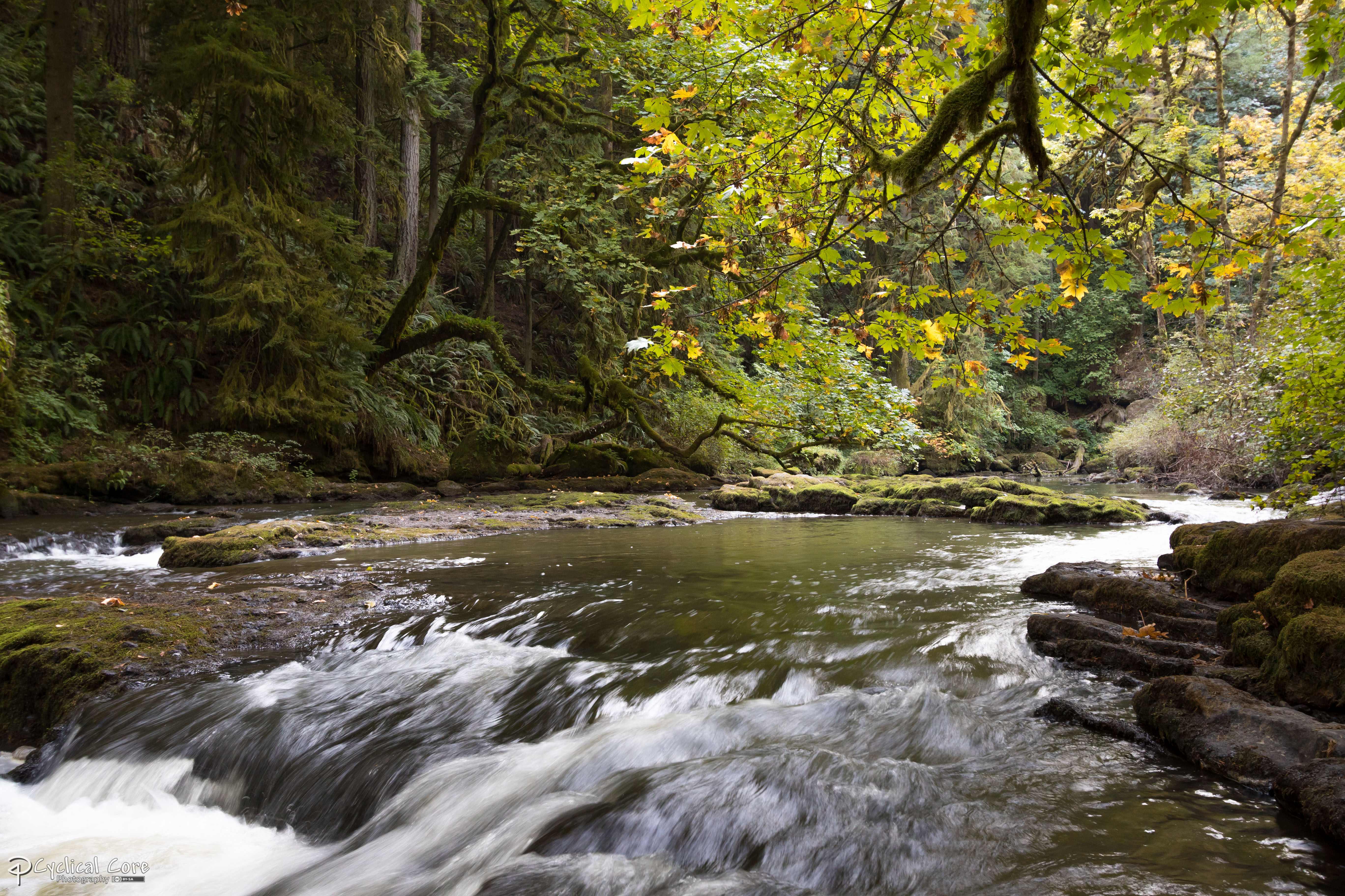 Lacamas Creek