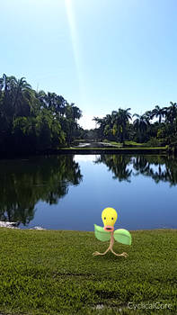 Bellsprout on  a beautiful day