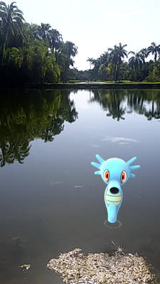 A horsea just hanging out