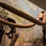 Mammoth tusk